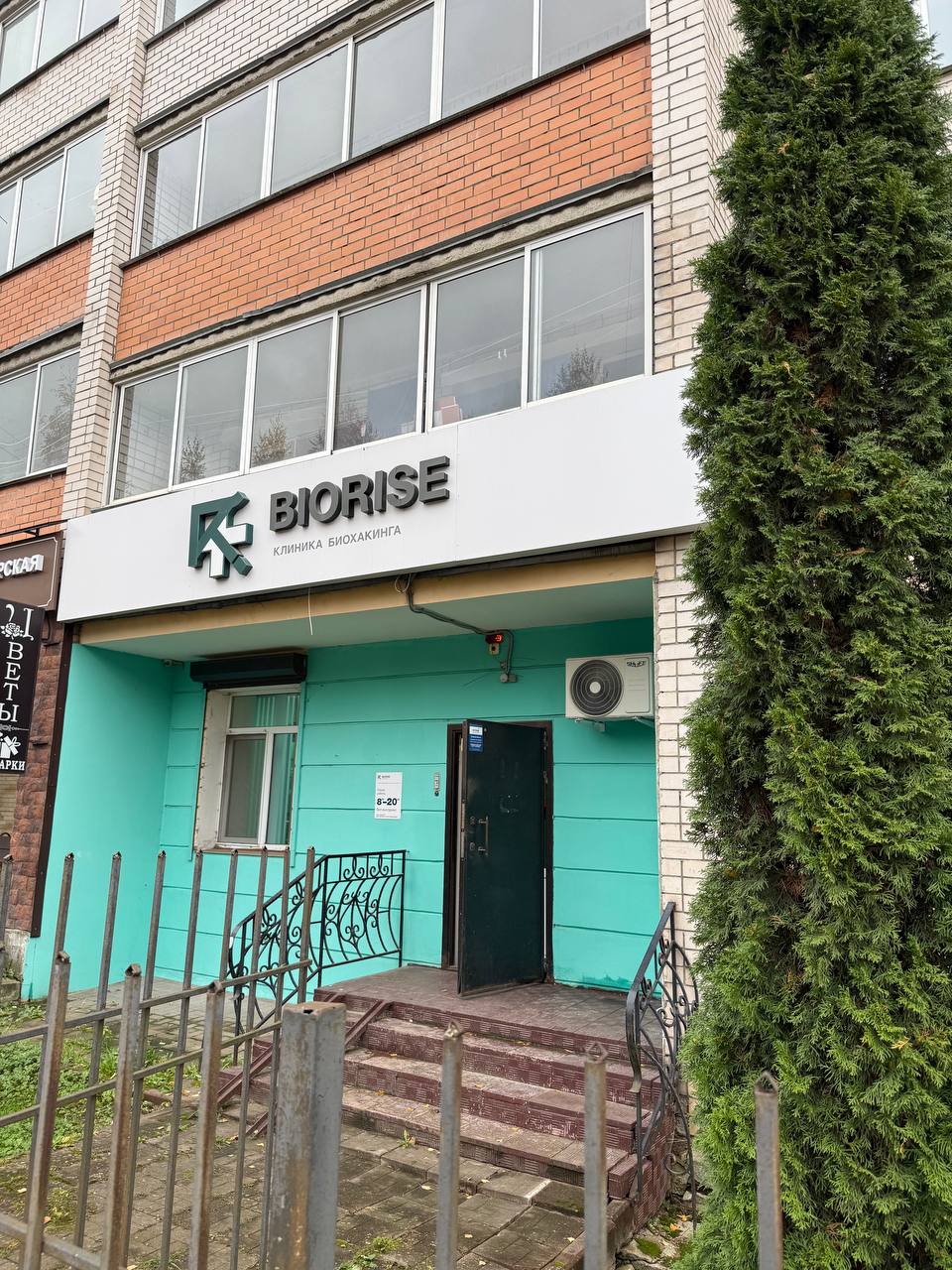 Biorise - 13337